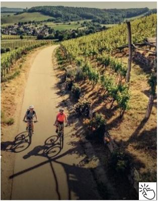 Mosel02